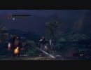 【DS】最後まで挫けずに！字幕プレイその20