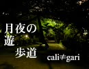 cali≠gari　月夜の遊歩道