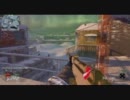 【関西弁】やめられない戦いがここにあるPart１【COD:BO】