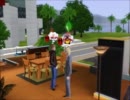 【APﾍﾀﾘｱ】レベル上げ - メリカナ編①/5【Sims3】0-11