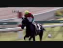 メイクデビュー中山_マイネエカテリーナ