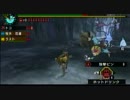 【MHP3】モンスタープラモット・女でも自声実況27･うささんは滑り台好き