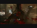 【GoW3】Gears of War3 ハードコア　Part9