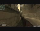【PC版】promod TDM1【COD4】