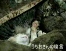 うちおさんの寝言