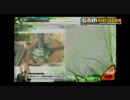 スミカ３.mp4