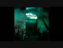 If These Trees Could Talk - The Sun Is In The North