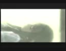 【二人実況】働きたくないので「ワンダと巨像」で遊ぶ＠Final【PS2】