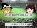 月刊　ゆっくりプロ野球　2011年9月号