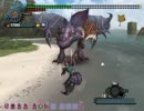 【MHF】HCガルルガ変種ソロ２ラスタ