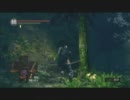 まったり闇魂 part35【ボソボソ実況】