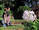 昭和記念公園を散策
