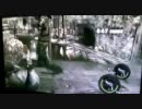 ウェブ-カメラで撮ってみる(野良、音なし)