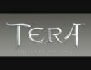 【TERA】生存報告【スレイヤー】
