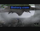 【MHF】2人で剛ラオ殴ってきた　２２ラスタ　前半