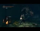 DARK SOULS　黒猫を楽に倒す