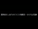 小さな奇跡　20100118-21