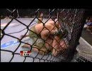 UFC 78 アウレリオ