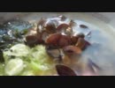 【オススメドライブコース】しじみラーメン【おまけ】