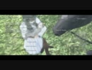 【字幕プレイ】ワンダと巨像　HDリマスター版FINAL-2