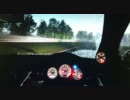 【ＧＴ５】直撮りの可能性を追及してみた