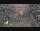頭が壊れてるのがダークソウルを実況　３３