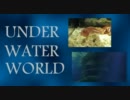 【グアム】UNDER WATER WORLD【水族館】