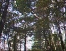 2011年10月10日　戸隠古道MTBサイクリング