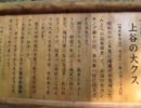 【車載】　大きな樹を見に行った　【のち散策？】