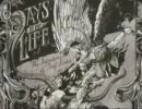 Days Of Our Life - It's No Place For The Fallen