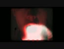 Torches - VTOO