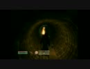oblivionおなのこプレイ・８