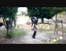 【ぬこ田】ハロ／ハワユ【踊ってみた】