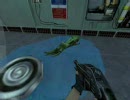 【プレイ動画】Half-Life :OF Part16 Newペット