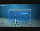 史上最強の海洋生物 - プレデターX