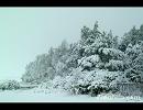 オリジナル　snow ボーカルレス