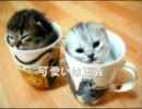 【実況プレイ】猫と一緒に東方の脱出ゲーム実況 part2