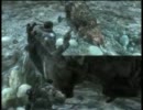 【Ｓ子とＭ子】女子二人でGears of War２をゆるく実況プレイ　Part4