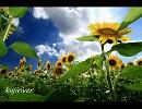 【演奏してみた】　GLAY コピーバンド BELOVED 