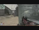 わんわんおが逝く（Ｕ＾ω＾）COD:MW2  Part8