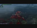 シクレ ドスイーオス変種 2体 ?