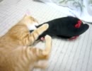 猫キ〜〜ック！