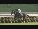 【競馬】 2011 秋華賞 アヴェンチュラ 【全部盛り】