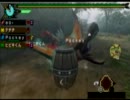 【MHP3】ガードランサーと初心者で霊峰を目指す　三十合目