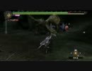クルペッコ稀少種-黒彩鳥-討伐