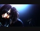 PLASTICZOOMS - -KMKZ-