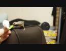 文鳥を撮ろうと思ったらカメラになつきすぎた『その１７』