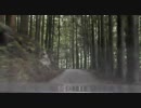 【車載】林道 武木小川線を走ってみた － 前半【奈良】 再UP.ver