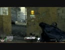【COD:MW2】喋る茸の近代戦２～なんでMW3のACRは黄色なの。泣くぞ～【FFA】