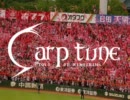 【歌ってみた】Carptuneを歌ってみた